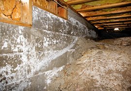 Crawlspace Waterproofing | Morris County, NJ | A-1 Basement Solutions