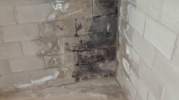 mold solutions new jersey